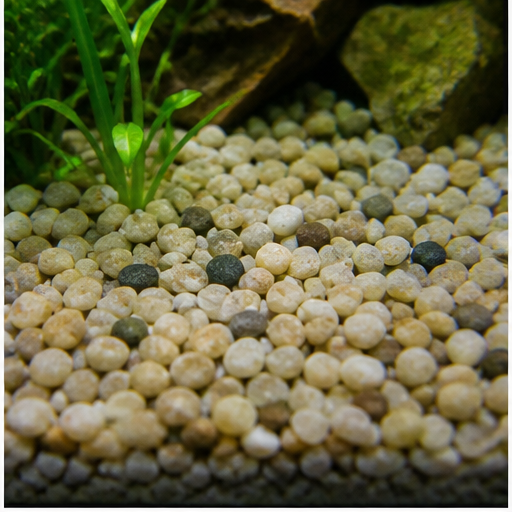 Akvarijumska podloga arrondi dans un aquarium