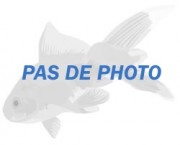 Copella arnoldi Цхарацин Дро�...