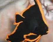 Platax pinnatus Ред Цхауве-Со...